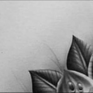 Meet your Posher, Emely